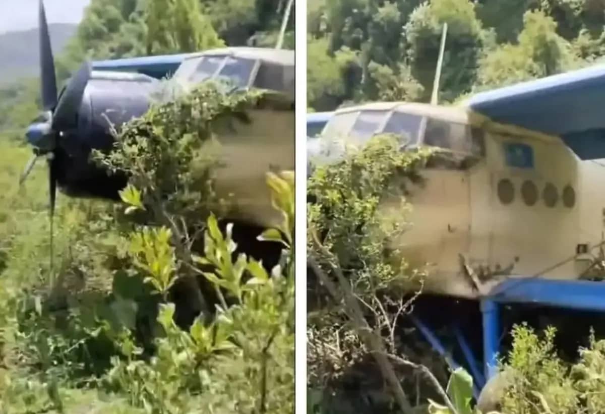 Ағашқа асылған Ан-2 ұшағы: Алматы облысында әуе кемесі тауға соғыла жаздап, шұғыл қонып үлгерді