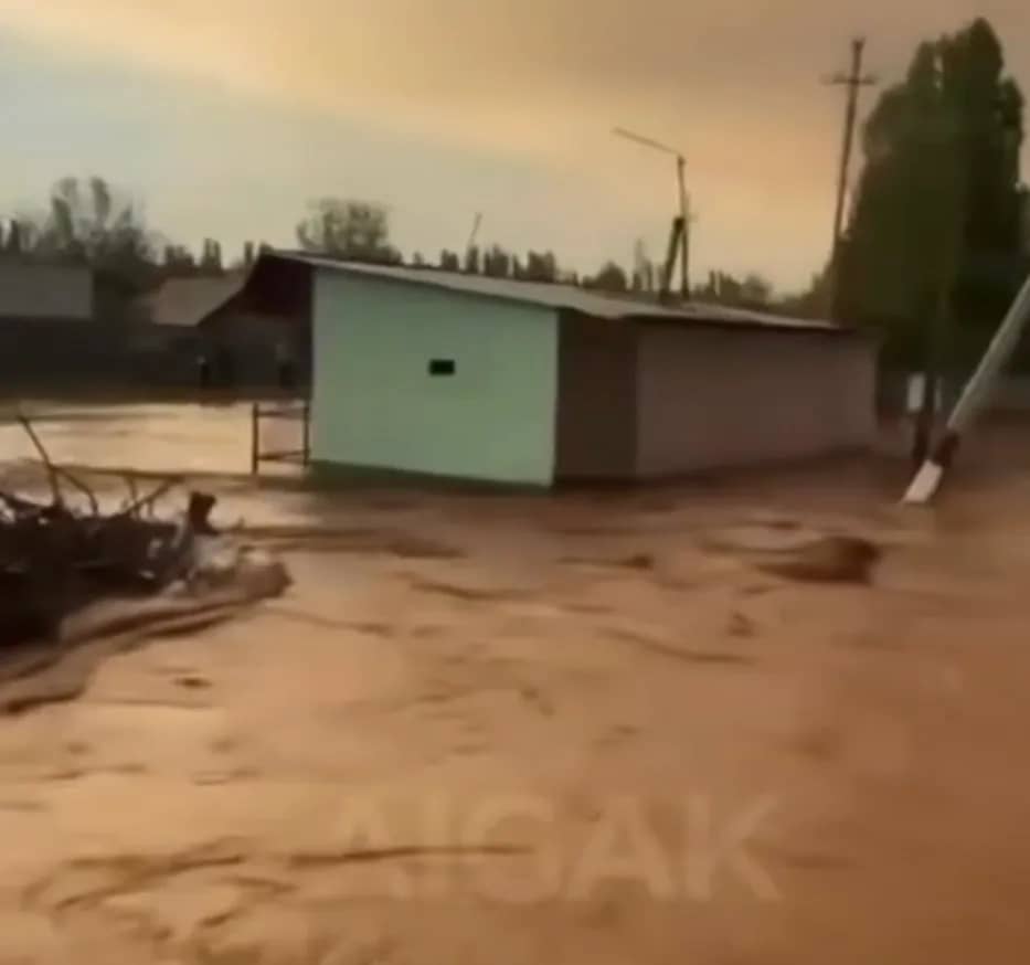Көпір бұзылған: Түркістан облысында 78 адам құтқарылды 