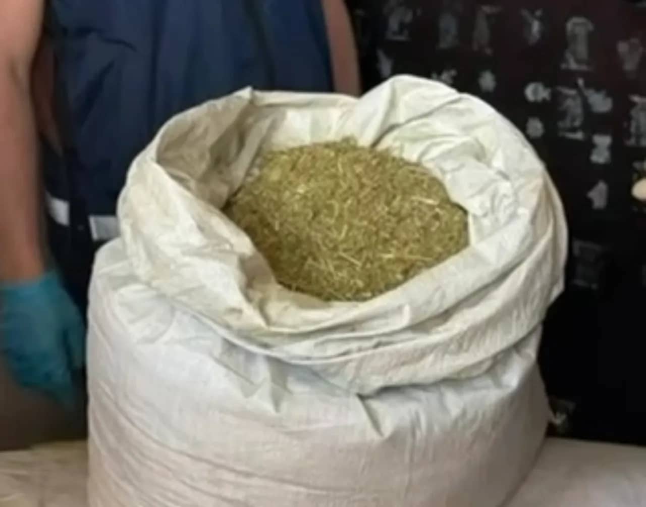     Ақтауда 33,5 келі марихуанасы бар сәлемдемені алған күдікті ұсталды