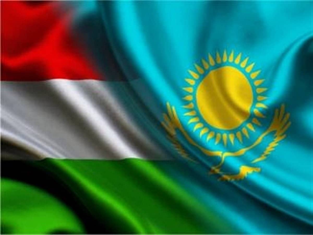 Мажарстандағы қазақ диаспорасы Тоқаевтан елшінің кетуін талап етті