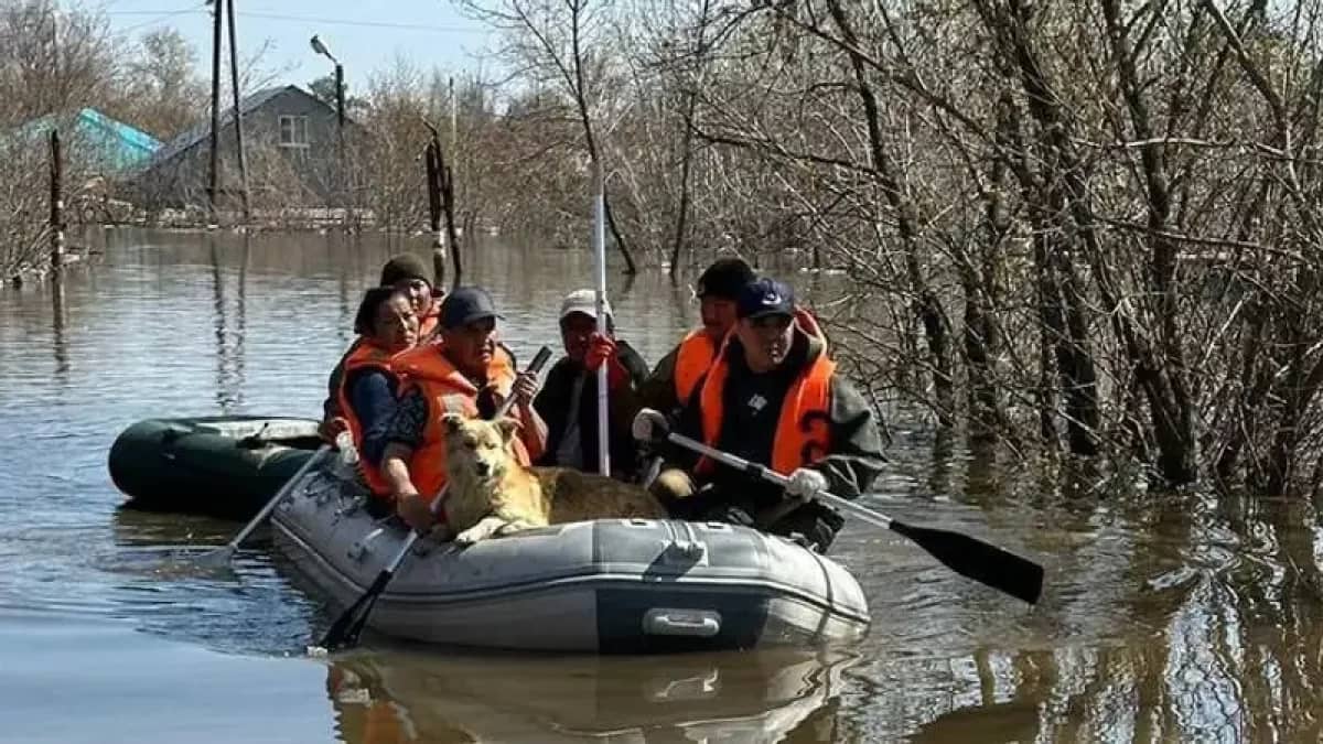 Солтүстік Қазақстан мен Батыс Қазақстанда әлі де эвакуация жұмысы жалғасып жатыр
