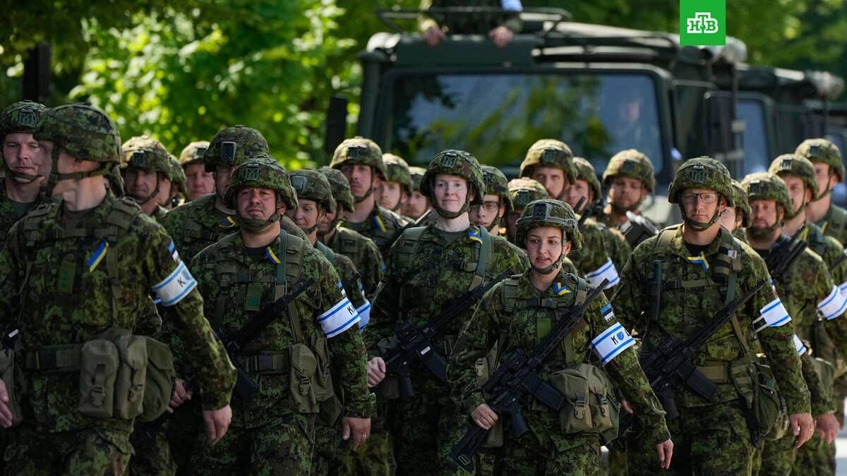 Эстония үкіметі Украинаға әскер жіберуге ниетті