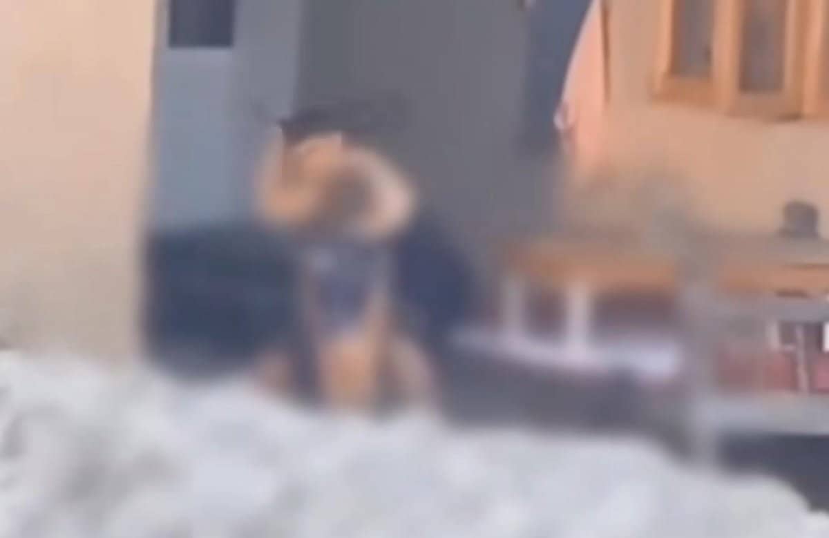 Алты жасар баланы аямай белдікпен ұрған: видео желіде қызу талқыланды