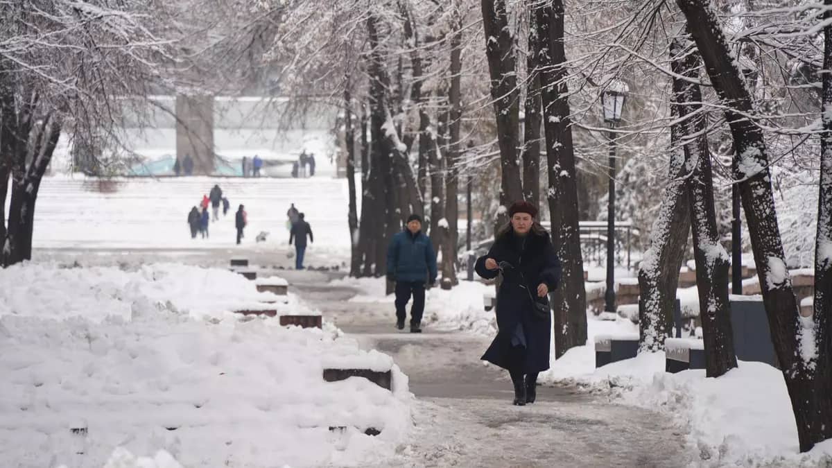 Көктайғақ пен тұман: еліміздің бірқатар өңірінде ескерту жарияланды