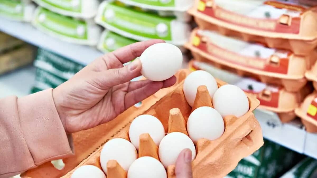 Қазақстанда заңсыз импортталған жұмыртқалар дүкен сөрелерінен алынады