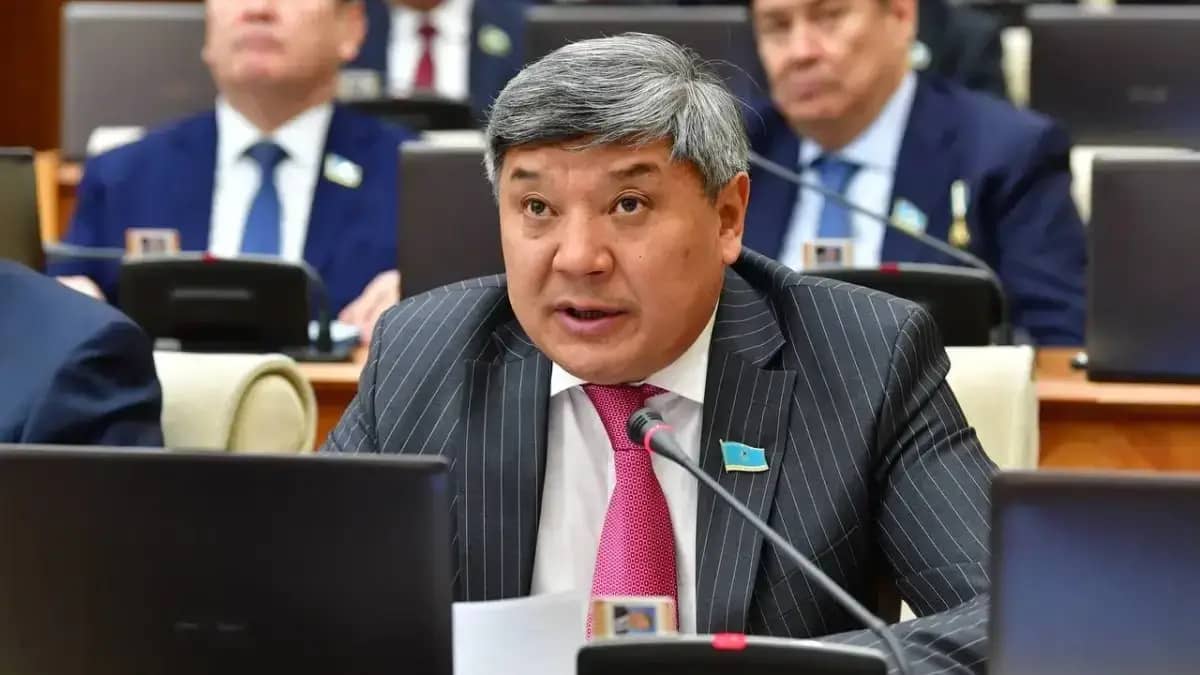 TikTok-қа шектеу қою қажет – депутат