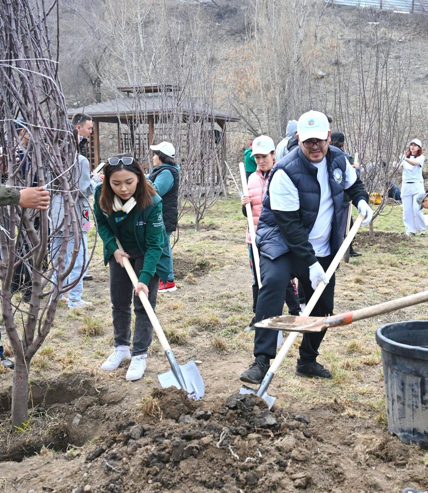 «Almaty clean & green»: қаланың барлық ауданында 10 мыңнан астам ағаш отырғызылды