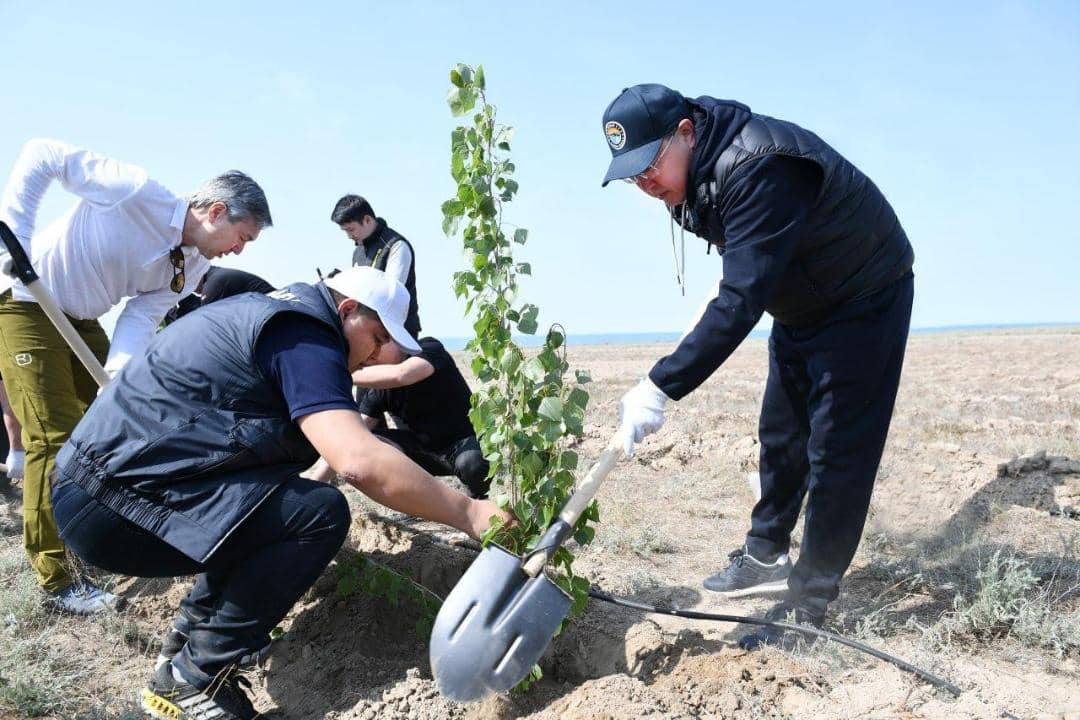 1 миллион тоннадан астам көмірқышқыл газын азайтуға сеп болады: Алматы облысында экологиялық жоба жүзеге асып жатыр