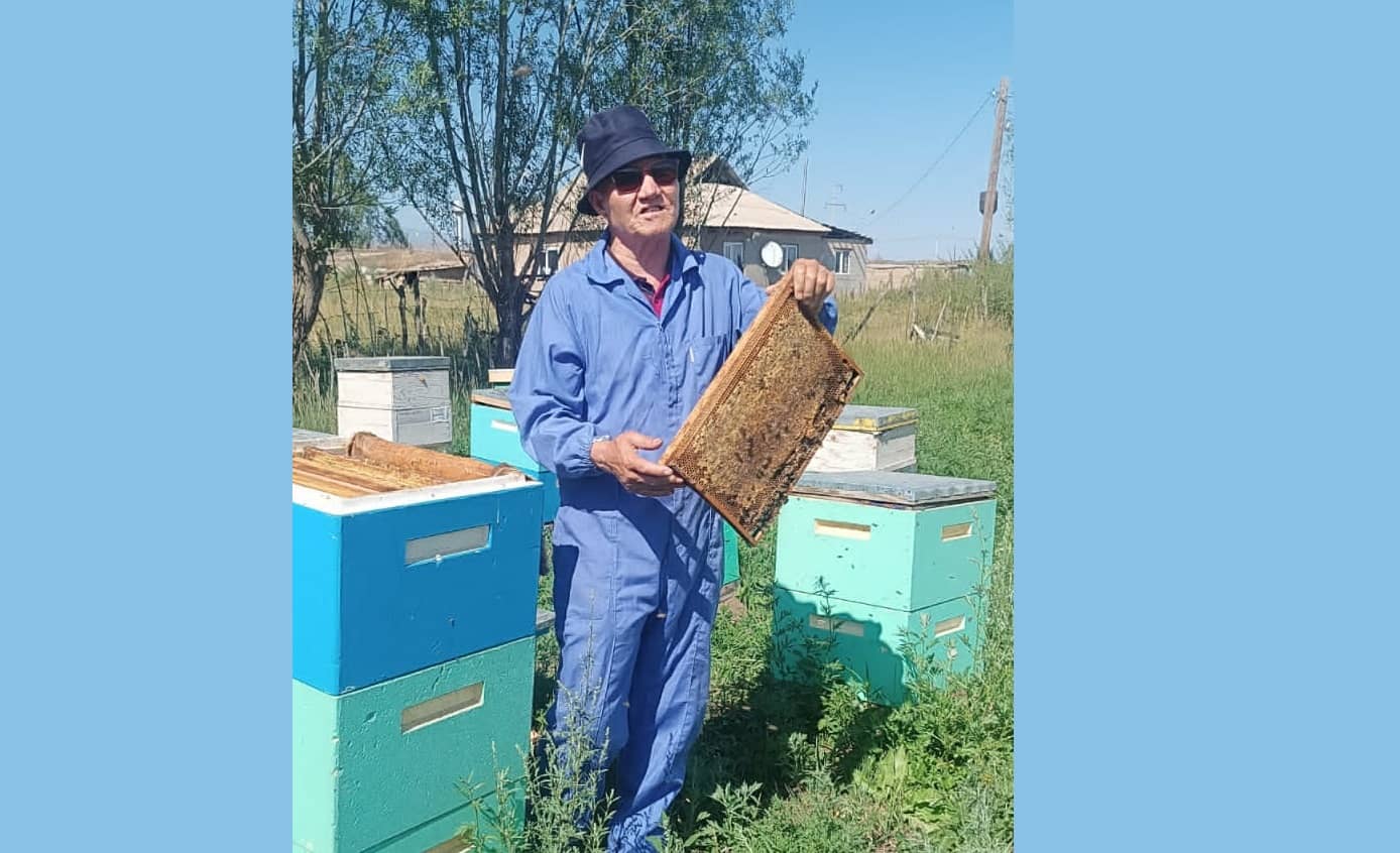 Алматы облысы агроөнеркәсіпті дамытуда омарта шаруашылығына жеткілікті деңгейде көңіл бөлмеуде