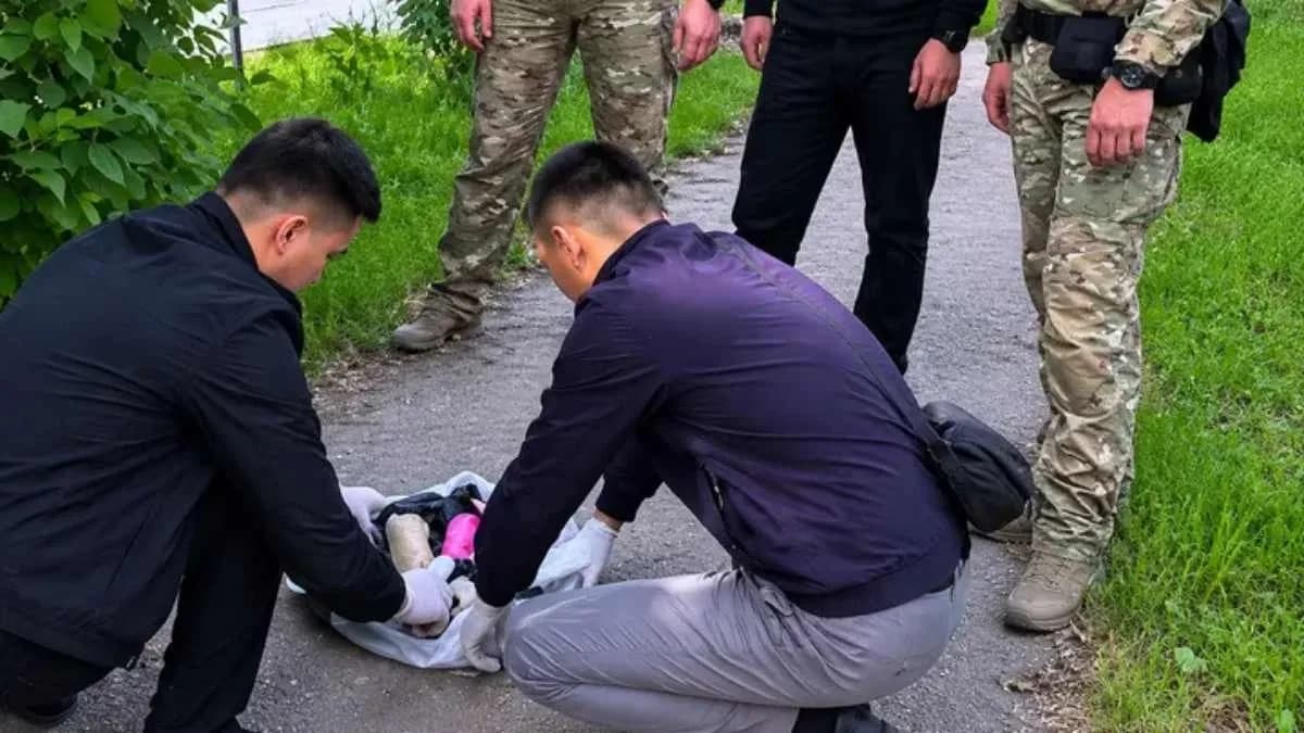 Шымкентте екі азамат ауған апиынын жеткізумен айналысқан