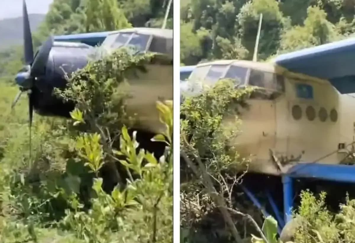 Ағашқа асылған Ан-2 ұшағы: Алматы облысында әуе кемесі тауға соғыла жаздап, шұғыл қонып үлгерді