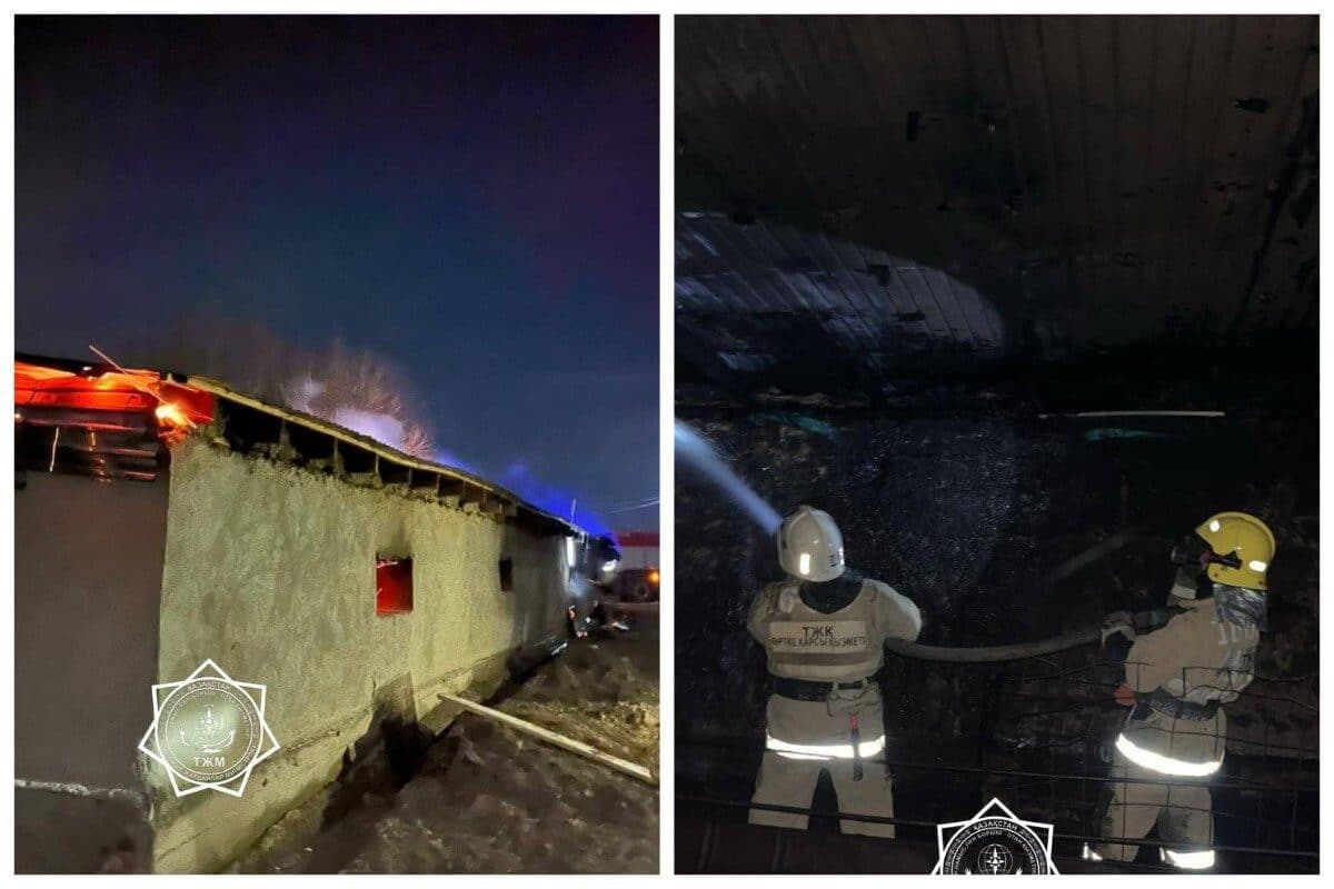 Жамбыл облысында өрттен 48 бас мал қырылды