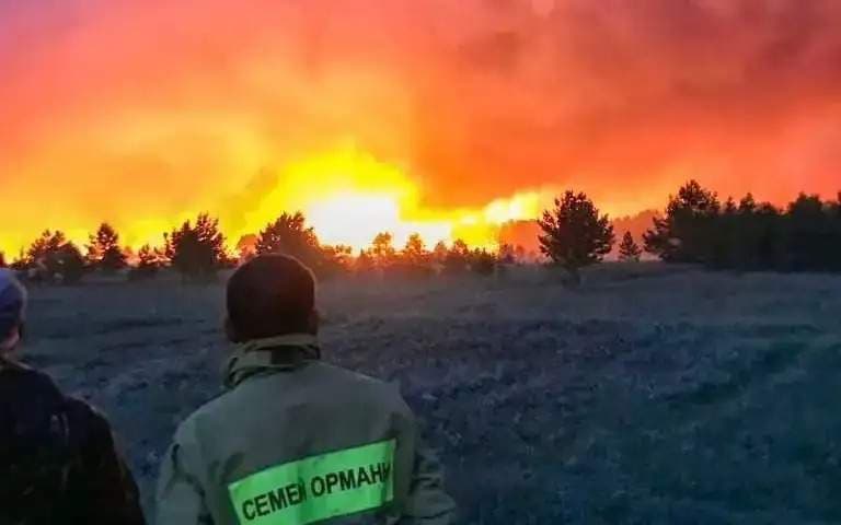 Экология министрі: Былтыр өртенген Семей орманы қалпына келу үшін 40-50 жыл керек