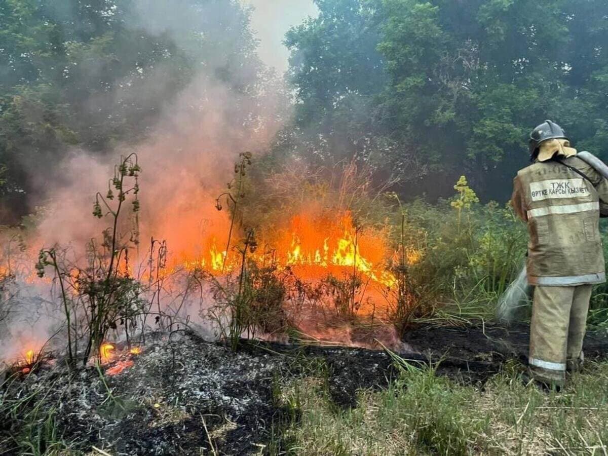 «Семей орманы» резерватында болған өртке кінәлі екі адам 7 жылға сотталды