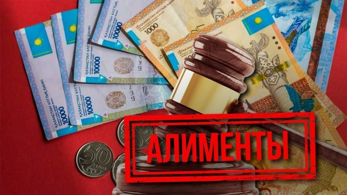 Бизнесмен алиментке байланысты Конституциялық сотқа жүгінді