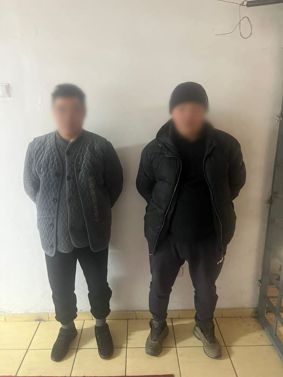 Төрт қарақшы қолға түсті: Барымташылар Алматы облысында жылқыларды үйірімен ұрлаған