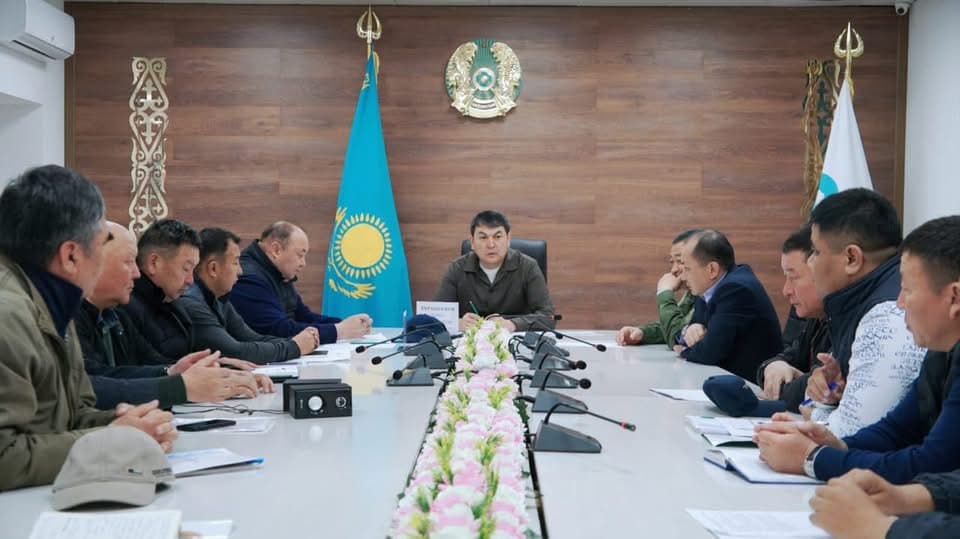 Түркістан облысында шегірткеге қарсы шаралар тоқтаусыз жүріп жатыр