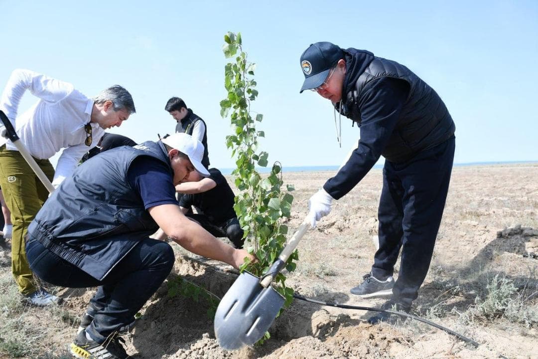 1 миллион тоннадан астам көмірқышқыл газын азайтуға сеп болады: Алматы облысында экологиялық жоба жүзеге асып жатыр