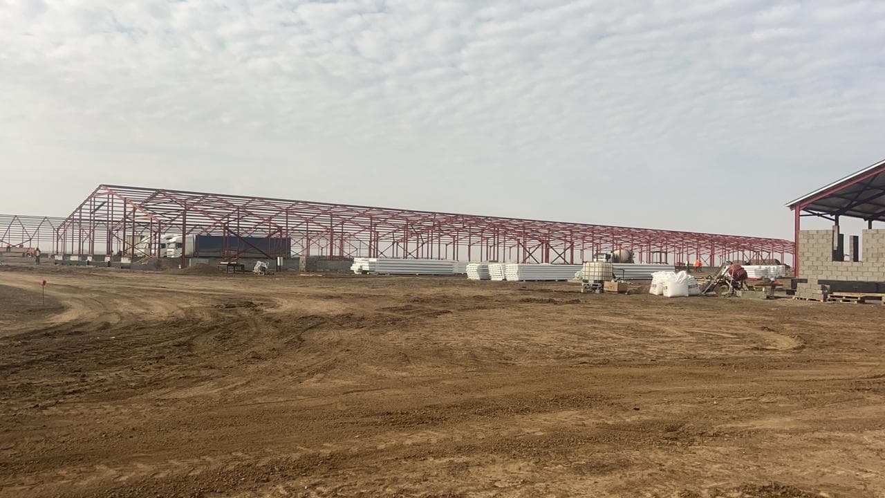 Батыс Қазақстан облысында сүт өндірісі артып келеді