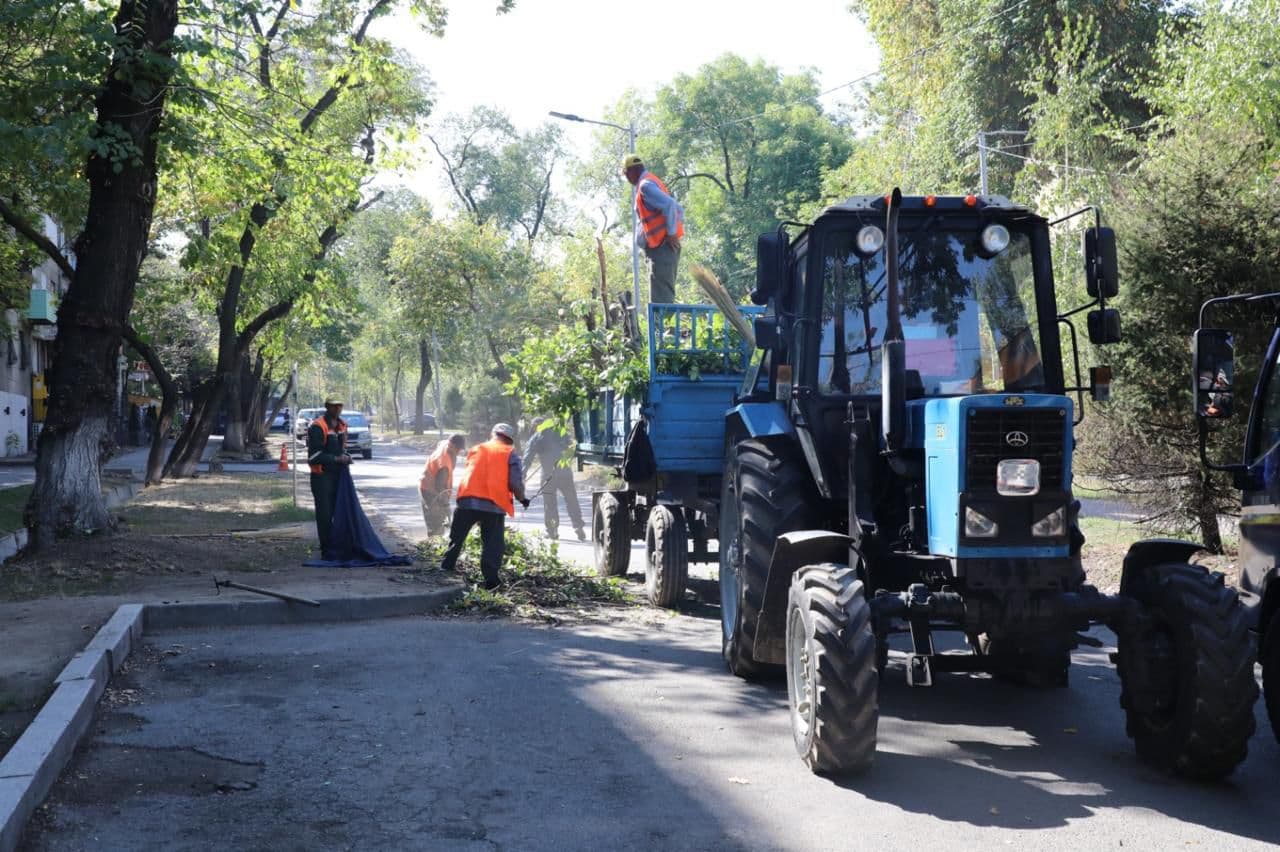Қала күні қарсаңында: Алматының тазалығына үлес қосқан көрінбейтін батырлар