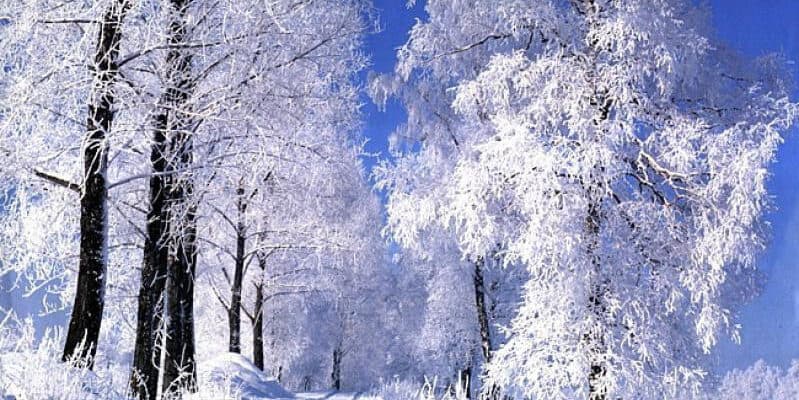 Бүгіннен бастап елімізде -23°C дейін күн суытады