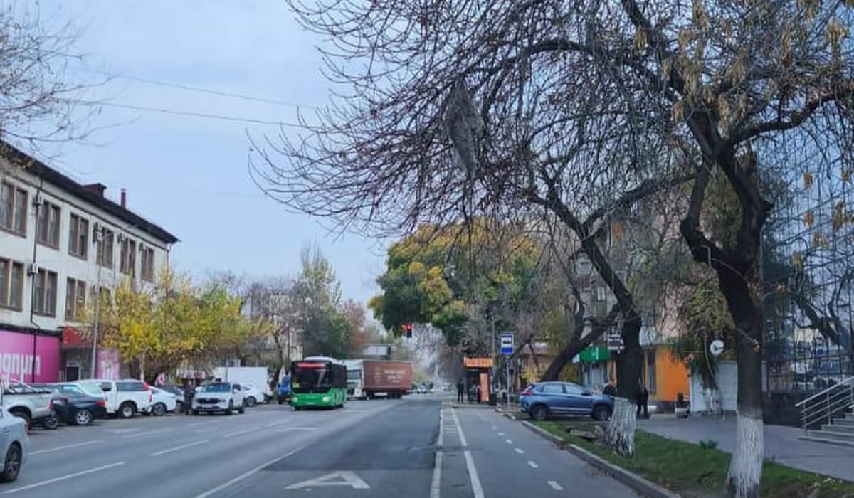 Қар шығару жұмыстарының сапасын арттыру үшін Алматыда жол бойындағы боллардтар алынып жатыр