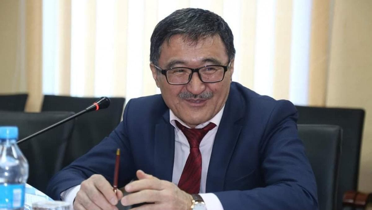 «Дронды, отқа жанбайтын үйдің қабырға материалын да Ата заңға қосайық»: Қайнар Олжай Конституция мүшелерінің сөздері сұйылып кеткенін сынға алды