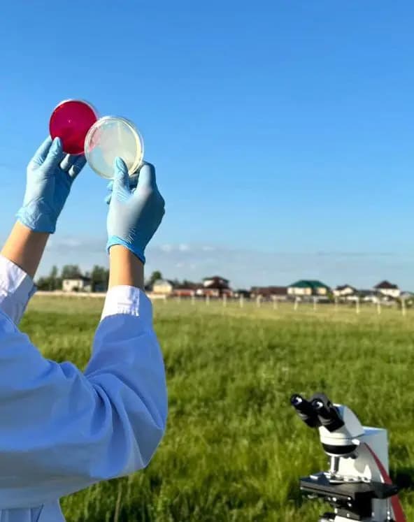 Қазақстандағы әр сегізінші өнімде заңбұзушылық бар: азық-түлік алаяқтығы қалай жұмыс істейді