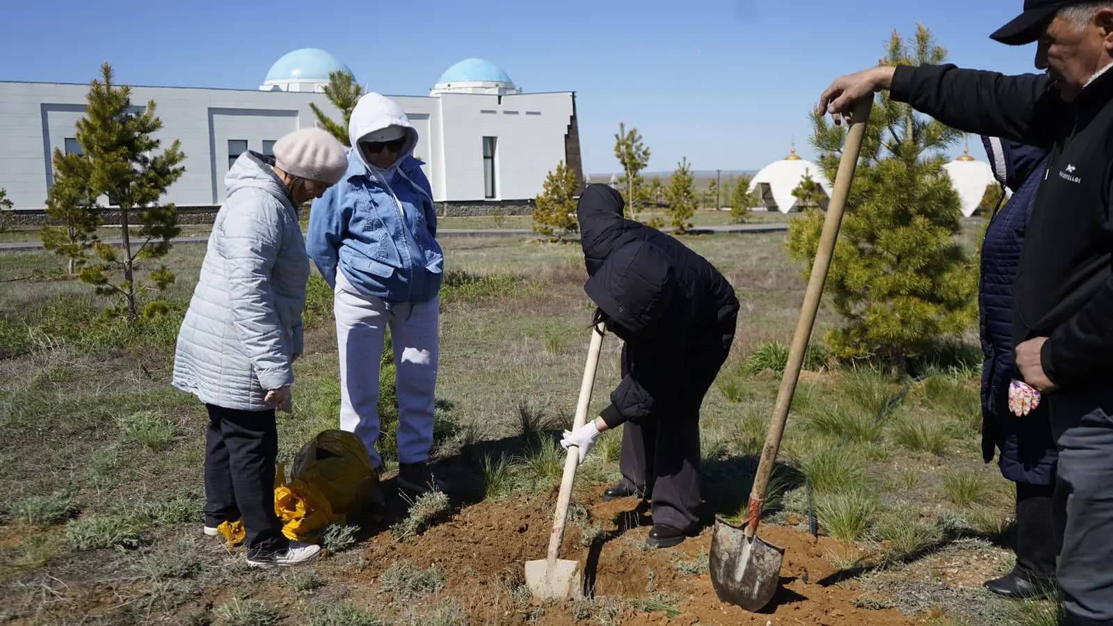 Ұлытау облысында «Таза Қазақстан» акциясы аясында 1550 ағаш отырғызылды