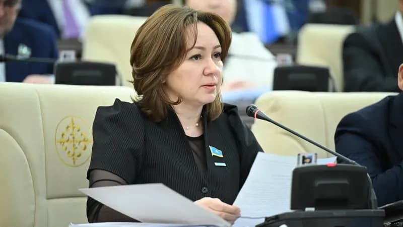 Штрафы нужны не ради наказания, а для наведения порядка – депутат Парламента