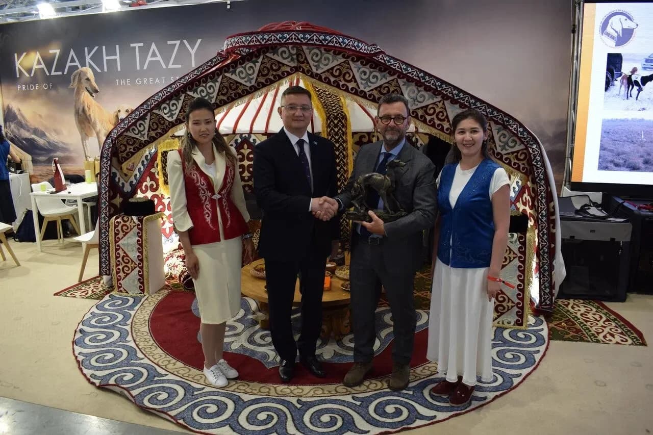 Казахский тазы триумфально представлен на World Dog Show 2026 в Болонье