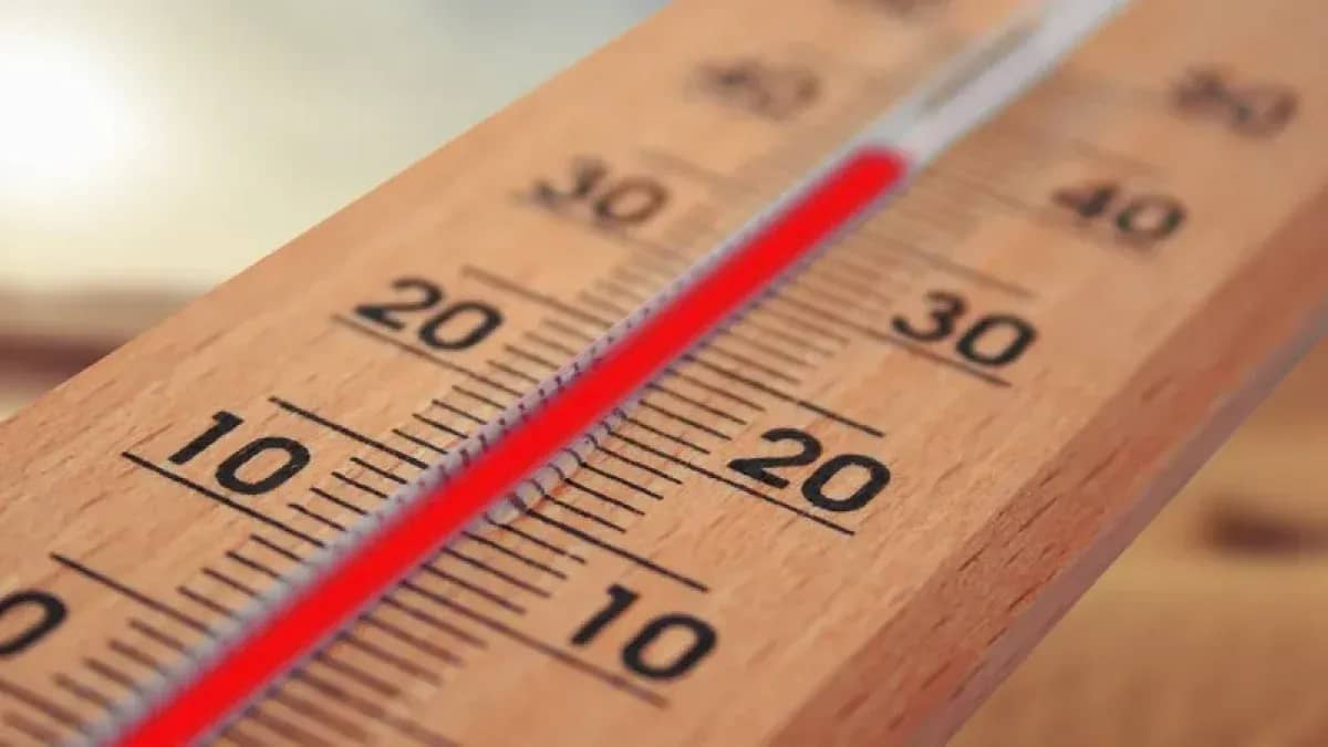 Оңтүстік Қазақстанда +40°С-қа дейін аптап ыстық күтіледі