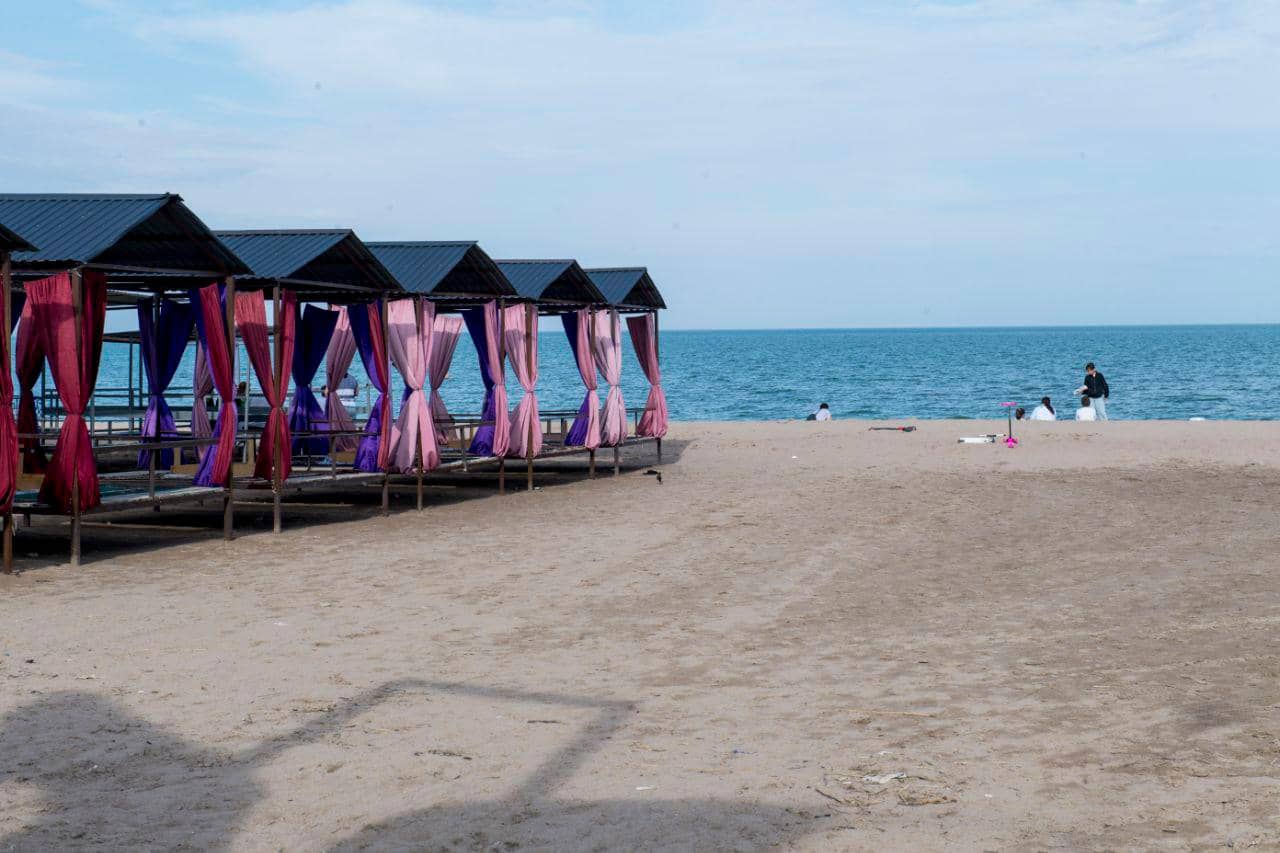Қонаевта 8 гектарға жуық жер қытайларға берілген - әкімдіктің жауабы