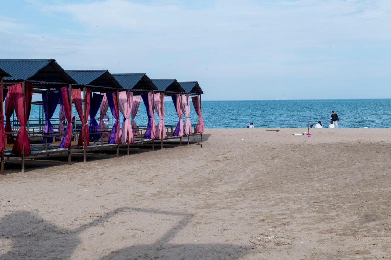 Қонаевта 8 гектарға жуық жер қытайларға берілген - әкімдіктің жауабы
