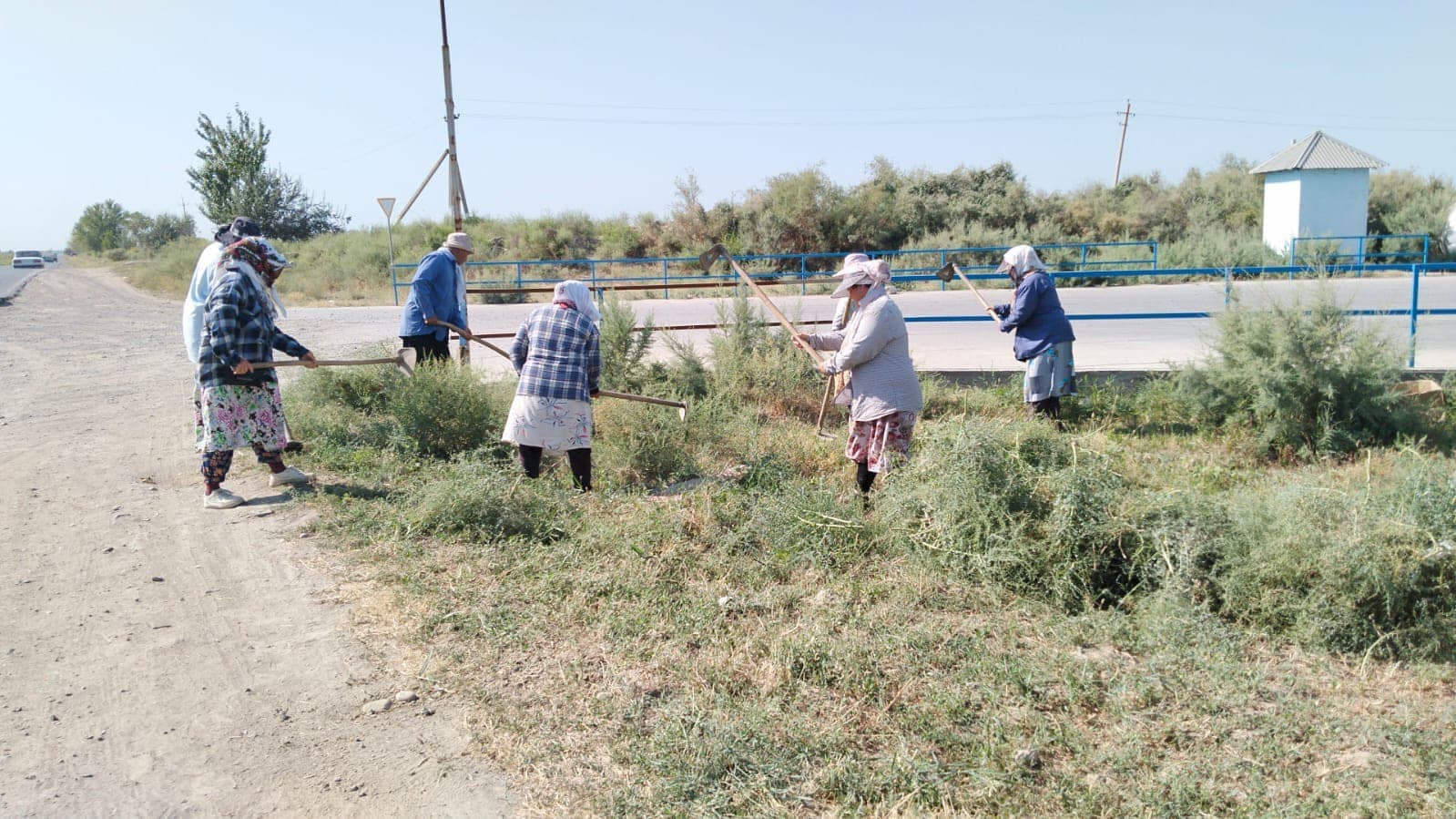 «Таза қазақстан»: Жетісайда 500-ге жуық адам тазалық акциясына қатысты