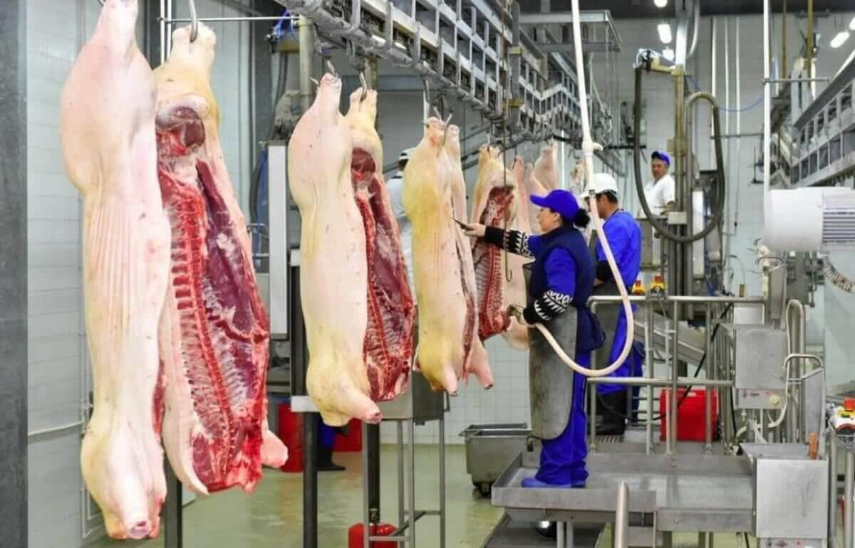 Бруцеллездің алдын алу бойынша мамандар кеңес берді