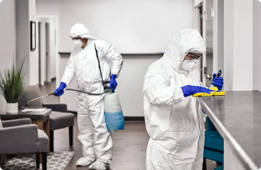 Дезинфекция, дезинсекция мен дератизацияны ұйымдастыруға және жүргізуге қойылатын санитариялық-эпидемиологиялық талаптар