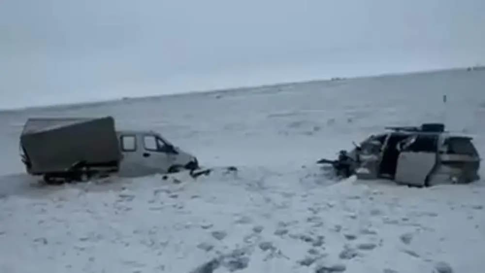 Ақмола облысында жол-көлік апатынан кейін жүргізуші қайтыс болды