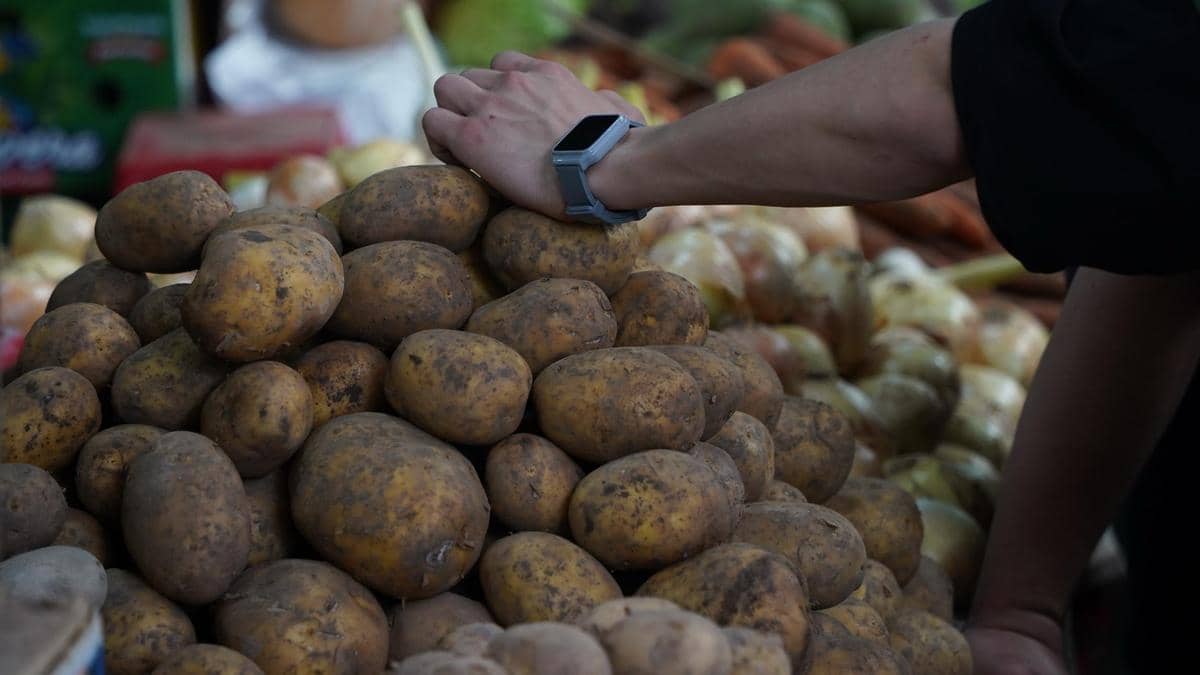 Қазақстанда картоп бағасы неге шарықтап кетті?