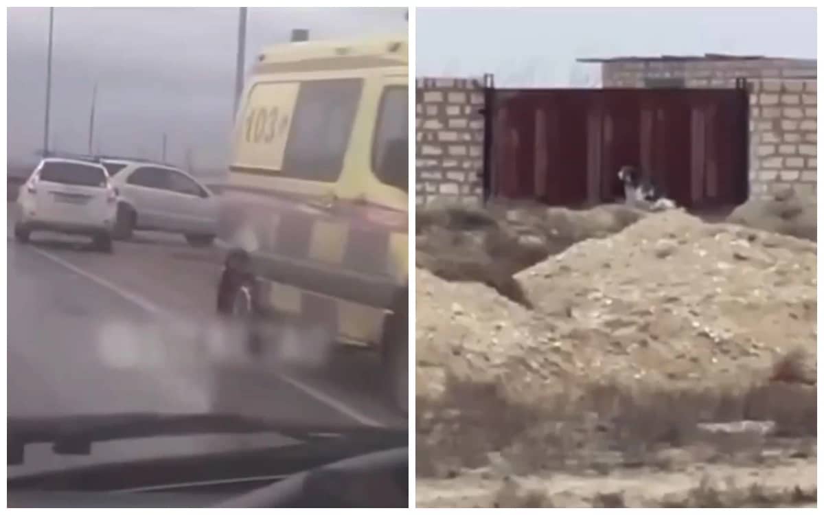 Маңғыстау облысында алабай оқушыны талап тастады