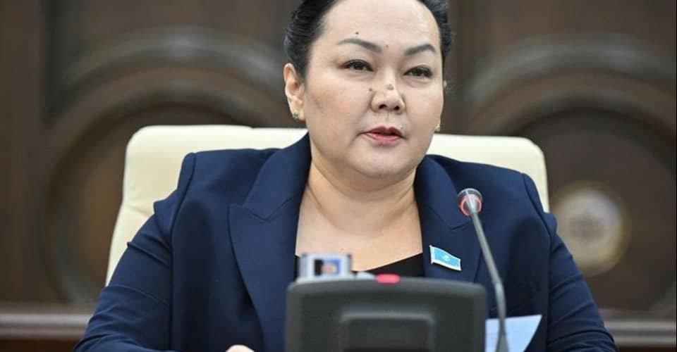 «Бала өмір сүруге жарамсыз жағдайда тұрып жатыр». Депутат Танашева Парламенттен неге кетті?