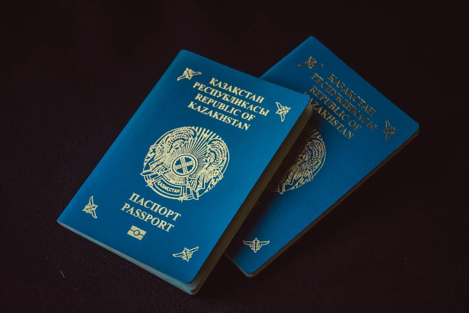 Қазақстанның Ресейдегі елшілігі азаматтықтан бас тарту құжаттарын қабылдауды тоқтатады