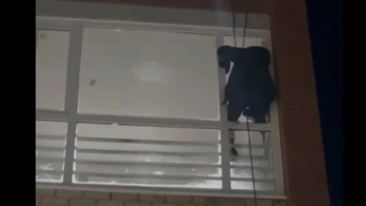 Үш жасар бала анасын балконға қамап, өртке себепші бола жаздады