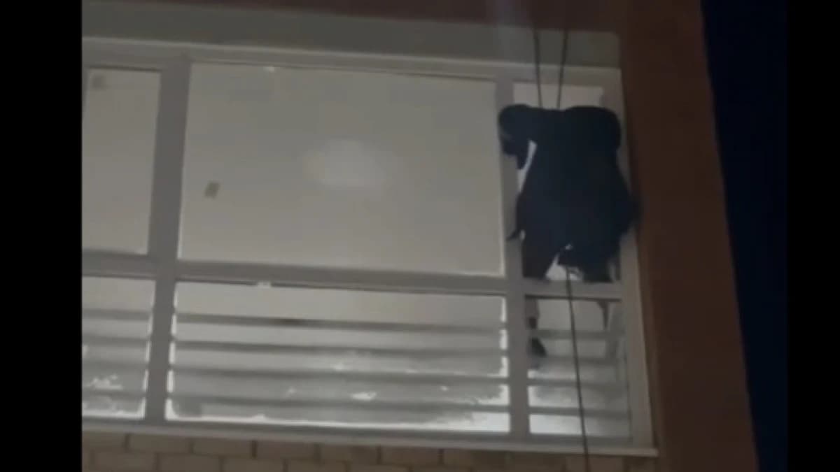 Үш жасар бала анасын балконға қамап, өртке себепші бола жаздады