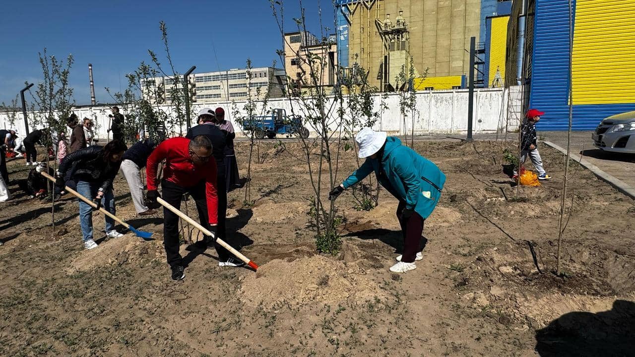 Патриотизмнің көрінісі: Алматы облысында 110 мыңнан астам ағаш отырғызылды