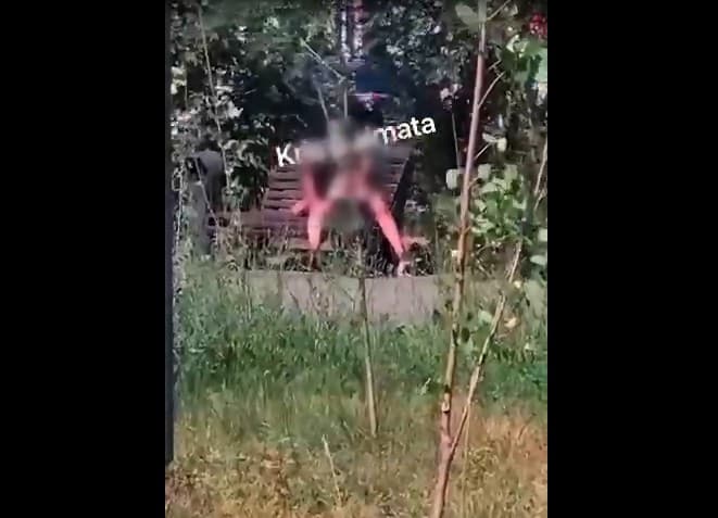 «Махаббатқа мас болған»: Алматыда күндіз жыныстық қатынасқа түскен қыз бен жігітті көпшілік тоқтата алмады (видео)
