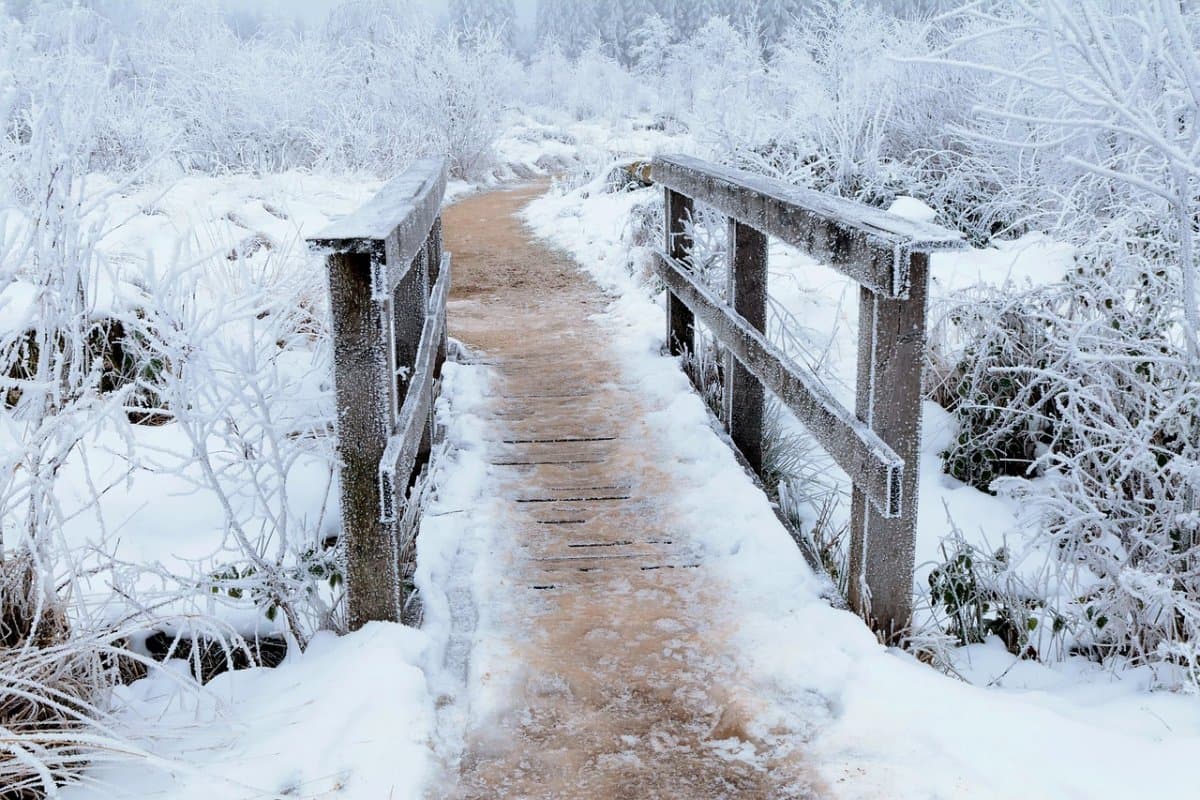 «Нөсер жаңбыр, көктайғақ»: Еліміздің 15 өңірінде дауылды ескерту жарияланды
