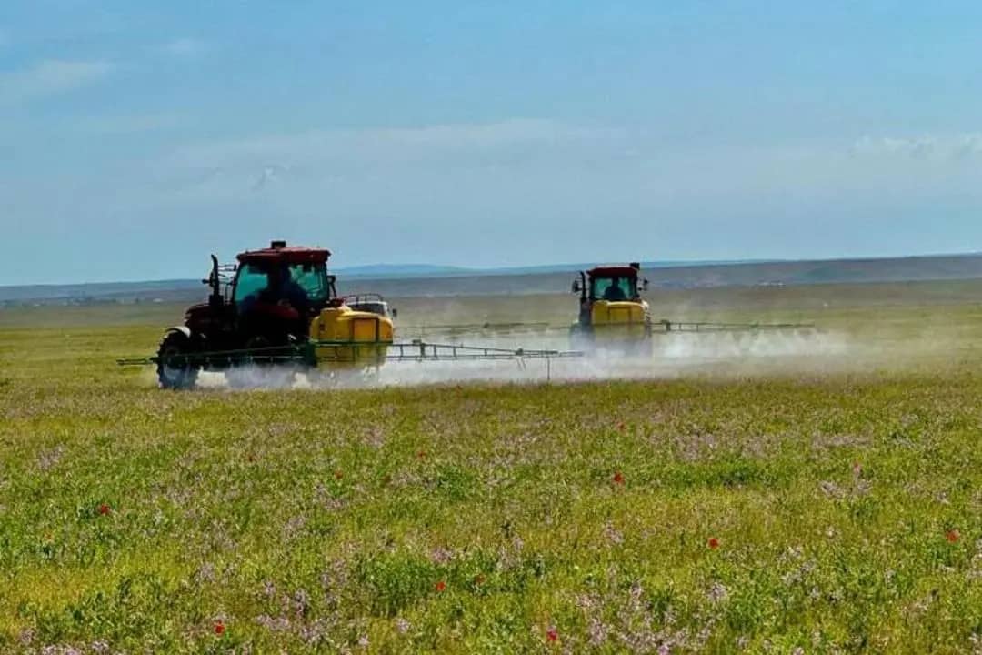 Қазақстан ауыл шаруашылығы алқаптары бойынша әлемнің топ-6 елі қатарына енді